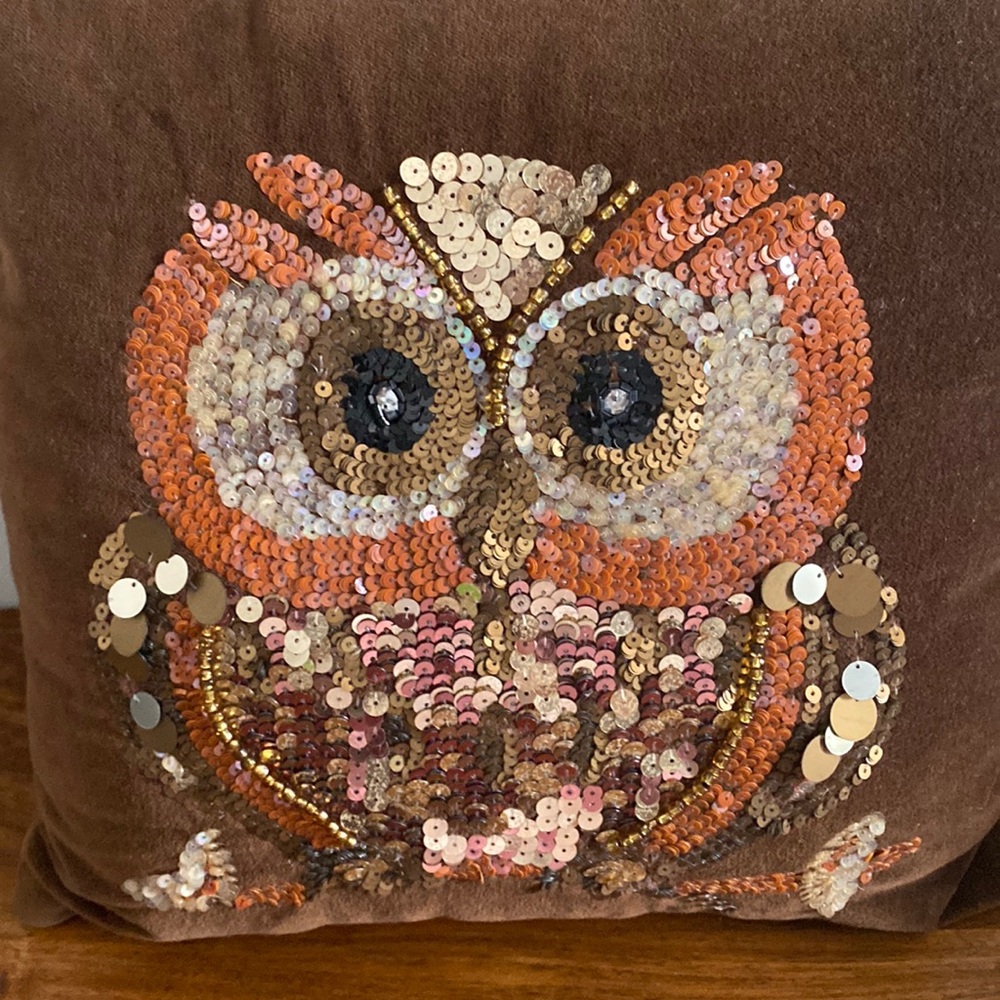 NEW. Pier 1 Pillow with Owl. 🦉 - Picture 7 of 16